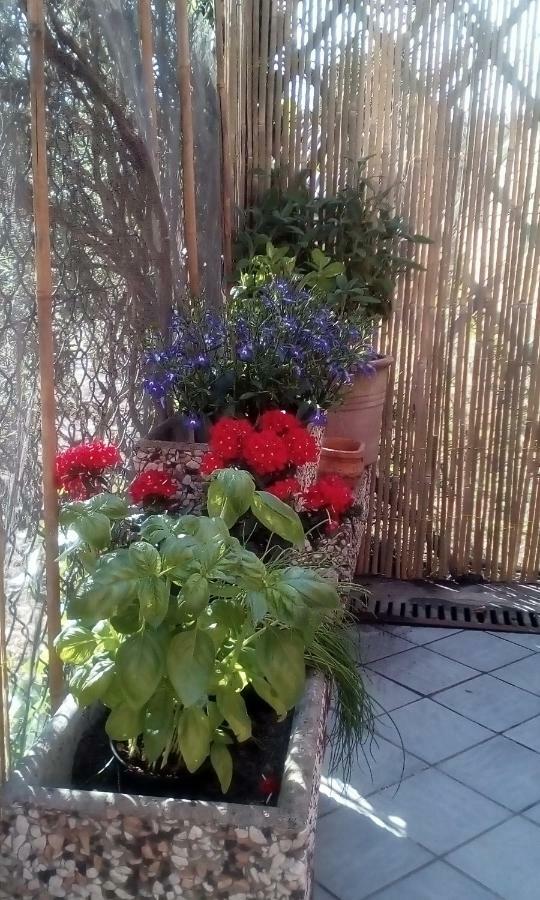 Willa La Riviera Loreo Zewnętrze zdjęcie